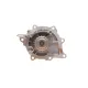 Комплект ГРМ з помпою CONTINENTAL CT1142WP1 для Citroen C5/C6/C8, Fiat Ulysse, Ford Galaxy/Mondeo/S-Max 2.2HDI/TDCi 2006- (118 зубців, 25.4мм)