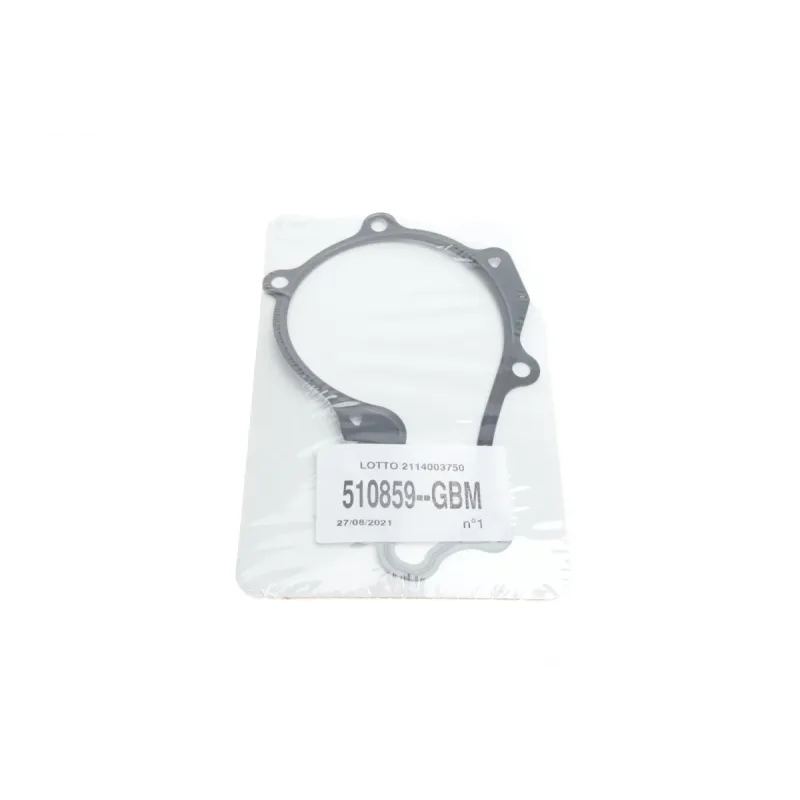 Комплект ГРМ + помпа Citroen C3/C4/Berlingo/Jumpy/Peugeot 2008/Expert/Partner 1.6 HDi 08- (20x141z)