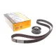 Комплект ГРМ VW T3/Passat/Golf II 1.5-1.7D/TD 77-92 (25.4x135z)