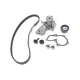 Комплект ГРМ + помпа Ford Mondeo 1.6Ti-VCT 07-14/Focus 1.4/1.6i 04-12/Fusion 1.2-1.6 02-12 (22x117z)