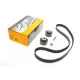 Комплект ГРМ Citroen Berlingo/Jumpy/Peugeot Boxer/Expert 2.0HDI/Fiat Ducato 2.0JTD 99- (25x141z)