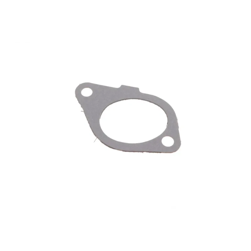 Прокладка колектора впускного Fiat Scudo/Peugeot Expert 1.9D 98-06 (к-кт)