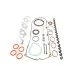 Комплект прокладок двигуна CORTECO 430244P для Citroen Jumpy, Peugeot Expert 2.0 HDi 2007-