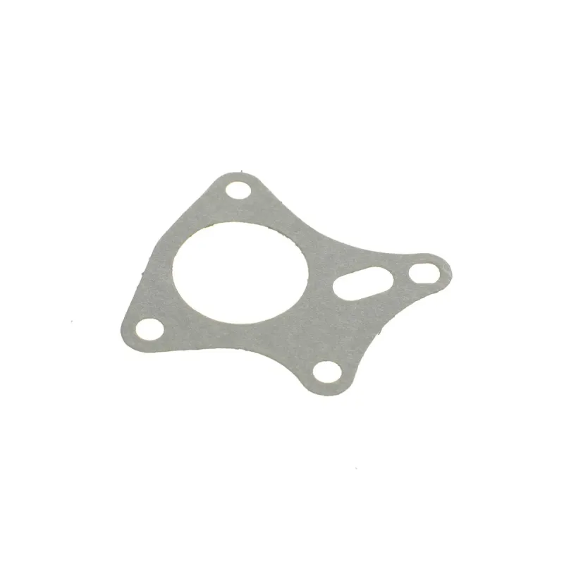 Комплект прокладок (повний) Renault Kangoo 1.9 dCi 97- (без прокладки ГБЦ)