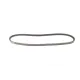 Ремінь генератора DAYCO 13A0950C для Audi 100 1982-1990, Alfa Romeo 145 1994-2001, 950 мм