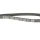 Ремінь генератора DAYCO 4PK1102EE для Citroen Jumper, Fiat Ducato 3.0 HDi 2006-