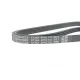 Ремінь генератора DAYCO 4PK1710 для Toyota Yaris 1.0 1999-2005 (4 ребра)