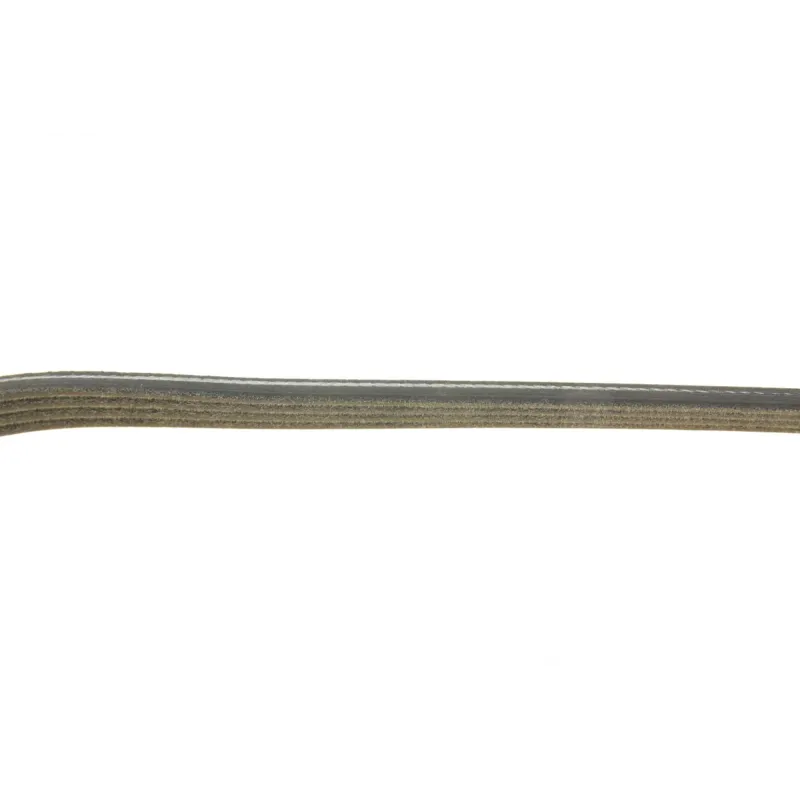 Ремінь генератора DAYCO 4PK844EE для BMW 5 (E60) 545i 550i 2003-2010
