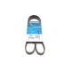 Ремінь генератора DAYCO 5PK1210 для Opel Astra G 1.4-1.8 1998-2005, Hyundai Accent IV 2010-