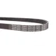 Ремінь генератора DAYCO 5PK736 для Land Rover Freelander 1.8 16V 2000-2006