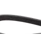 Ремінь генератора DAYCO 6PK1025 для Audi A3, Seat Leon, Skoda Octavia