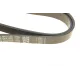 Ремінь генератора Nissan Almera 2.0 00-03/ Primera 2.0 16V 96-01