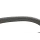 Ремінь генератора DAYCO 6PK1033EE для Ford Fiesta VI 1.25-1.6Ti 2008-