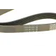 Ремінь генератора DAYCO 6PK1065 для Peugeot 306, Citroen Evasion, Fiat Ulysse