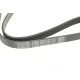 Ремінь генератора Citroen Jumper/Peugeot Boxer 2.0 94-/VW Caddy 1.4 04-
