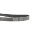 Ремінь генератора DAYCO 6PK1120S для Skoda Octavia, VW Golf, Passat B6