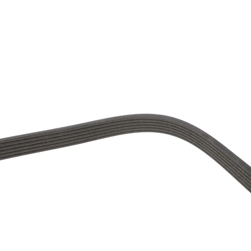 Ремінь генератора DAYCO 6PK1120S для Skoda Octavia, VW Golf, Passat B6