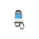 Ремінь генератора Fiat Ducato/Citroen Jumper 1.9D/TD 94-/Renault Trafic 2.5dCI 03-