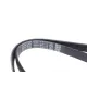 Ремінь генератора Citroen Jumper/Fiat Ducato 2.0/2.2HDi/JTD 02-