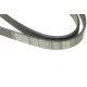 Ремінь генератора DAYCO 6PK1217 для Citroen Jumpy, Fiat Scudo, Peugeot Expert 2.0 HDi/MJTD (+AC)