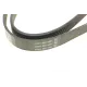 Ремінь генератора DAYCO 6PK1217 для Citroen Jumpy, Fiat Scudo, Peugeot Expert 2.0 HDi/MJTD (+AC)