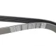 Ремінь генератора DAYCO 6PK1240 для Renault Laguna 1995-2001, Audi A3 2003-2009