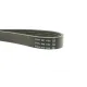 Ремінь генератора Citroen Berlingo/Jumpy/Peugeot Expert/Partner 1.6HDI