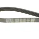 Ремінь генератора DAYCO 6PK1437 для Citroen Berlingo, Fiat Scudo 1.9D