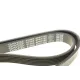 Ремінь генератора DAYCO 6PK1558 для Citroen Berlingo 1.6, Peugeot 206 1.6 16V