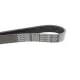 Ремінь генератора Citroen C5/Renault Laguna 3.0i 01-