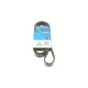 Ремінь генератора Fiat Scudo/Citroen Berlingo/VW Golf IV 1.8/1.9TDI 97-