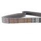 Ремінь генератора Peugeot Expert/Citroen Jumpy 1.9D/TD 96-/2.0HDI 00- (HD)