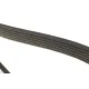 Ремінь генератора VW LT 2.5TDI 96-01/Peugeot Expert 1.9D/2.0HDI 98-