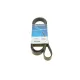 Ремінь генератора DAYCO 6PK1835 для Renault Master, Nissan Interstar, Opel Movano