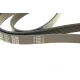 Ремінь генератора VW Passat/Audi A4 2.4/2.6/2.8 95-