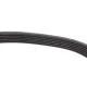 Ремінь генератора BMW X5/Ford Focus 1.4/1.6 16V 98-