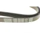 Ремінь генератора DAYCO 6PK1900 для VW T4, Opel Vectra A/B, DAEWOO LEGANZA