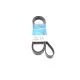 Ремінь генератора DAYCO 6PK2100 для Mercedes-Benz Vito, Volkswagen LT 2.5TDI (+AC)