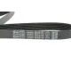 Ремінь генератора DAYCO 6PK2135 для Mercedes-Benz C-Class W203 2000-2002, 6 ребер