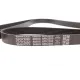 Ремінь генератора DAYCO 6PK2250 для Mercedes-Benz C-Class W202, E-Class W211 1998-2009