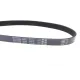 Ремінь генератора Citroen Berlingo/Jumper/Jumpy/Fiat Ducato/Scudo/Peugeot Boxer/Expert (6PK725)