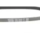 Ремінь генератора DAYCO 6PK850 для Citroen C1, Peugeot 107, Toyota Aygo 1.0i 2005-2014