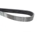 Ремінь генератора DAYCO 6PK975 для Citroen Berlingo, VW Golf III 1.4-2.0i 1991-