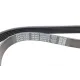 Ремінь генератора DAYCO 6PK975 для Citroen Berlingo, VW Golf III 1.4-2.0i 1991-