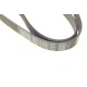 Ремінь генератора DAYCO 6PK986 для Fiat Brava/Punto 1.7/1.9D 94-01, Honda Civic VII/FR-V 1.7i 01-05