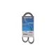 Ремінь генератора DAYCO 6PK987S для BMW 1 (F20) 114i/116i/118i/120i, 3 (F30) 316i/320i 2010-
