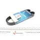 Ремінь генератора Citroen Jumper/Fiat Ducato 2.8HDi/JTD 00- (ALT,WP)