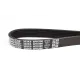 Ремінь генератора Citroen Jumper/Fiat Ducato 2.8HDi/JTD 00- (ALT,WP)