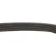 Ремінь генератора BMW 5 (E39)/7 (E38) 3.5i/4.4i 93-04/X5(E53) 4.4 i 00-03