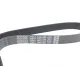 Ремінь генератора Renault Megane/Scenic 1.4 09-/Honda Accord/CR-V 2.2 i-CTDi 04- (7PK1784)